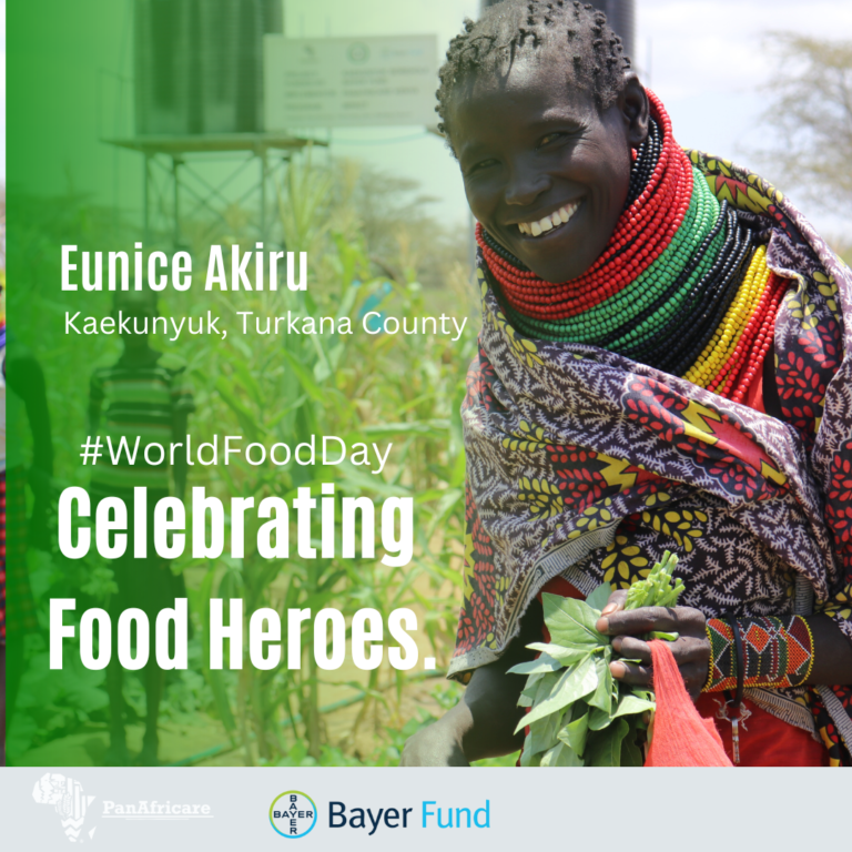 World Food Day: Celebrating Food Heroes